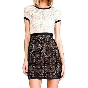 Adrianna Papell Women Lace Plus Size Dress sz 14W